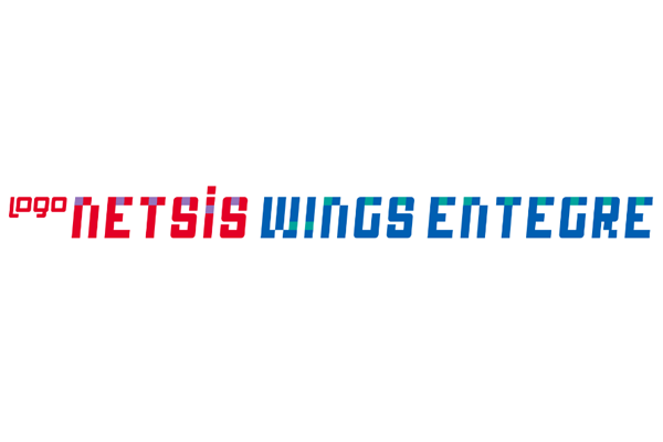 Logo Netsis Wings Entegre